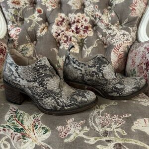 Freebird by Steven Snake-Print Ankle Booties in Gray and Black